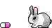 drugs bunny