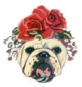 The Dog