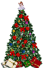 O' Christmas Tree