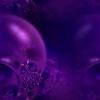 purple bubble