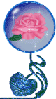 pink rose in globe