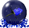 Blue rose in globe