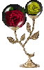 two rose globes
