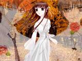 Fruits Basket Autumn Setting