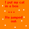I put my cat in a box...