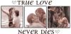 True Love Never Dies *The Notebook*