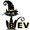 Bev Cat