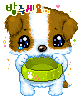 cute puppy cry