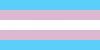 Transgender  Flag