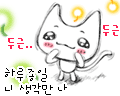 i love you cute cat