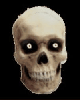 scary skull