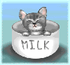 Kitty Milk