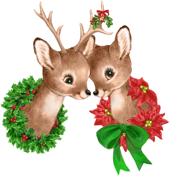 baby deers