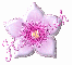 Pink Flower Haleemah