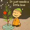 the tree needs more love!