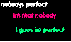nobodys perfect