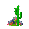 little cactus