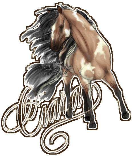 ciara wild horse
