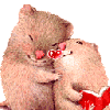 hamster love