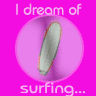 Dreaming of surfing