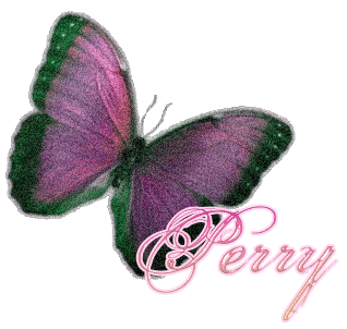 perry purple butterfly porcelain