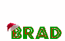 santa hat on Brad
