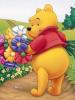 cute kawaii winnie pooh & flowers