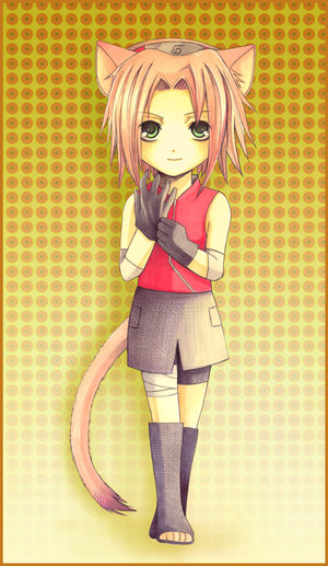 sakura neko