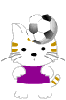 soccer kitty