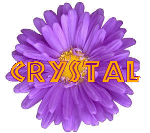 Crystal inside purple daisy