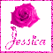 Rose with the name Jessica