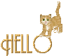 kitty  /Hello 