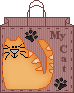 My cat