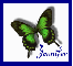 Jennifer framed butterfly