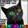 Crazy Black Cat 
